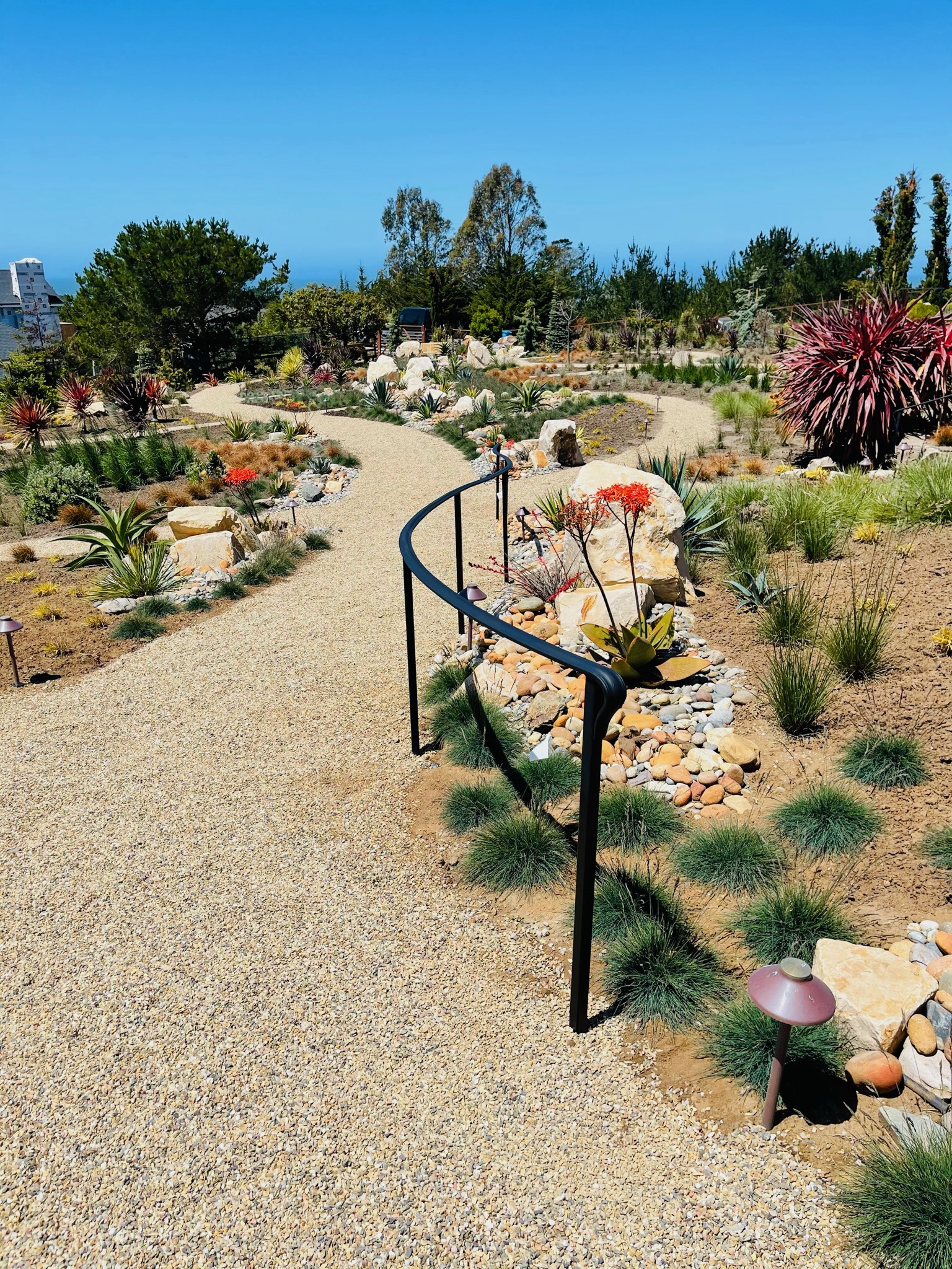 Curved garden handrail overlooking a landscaped path